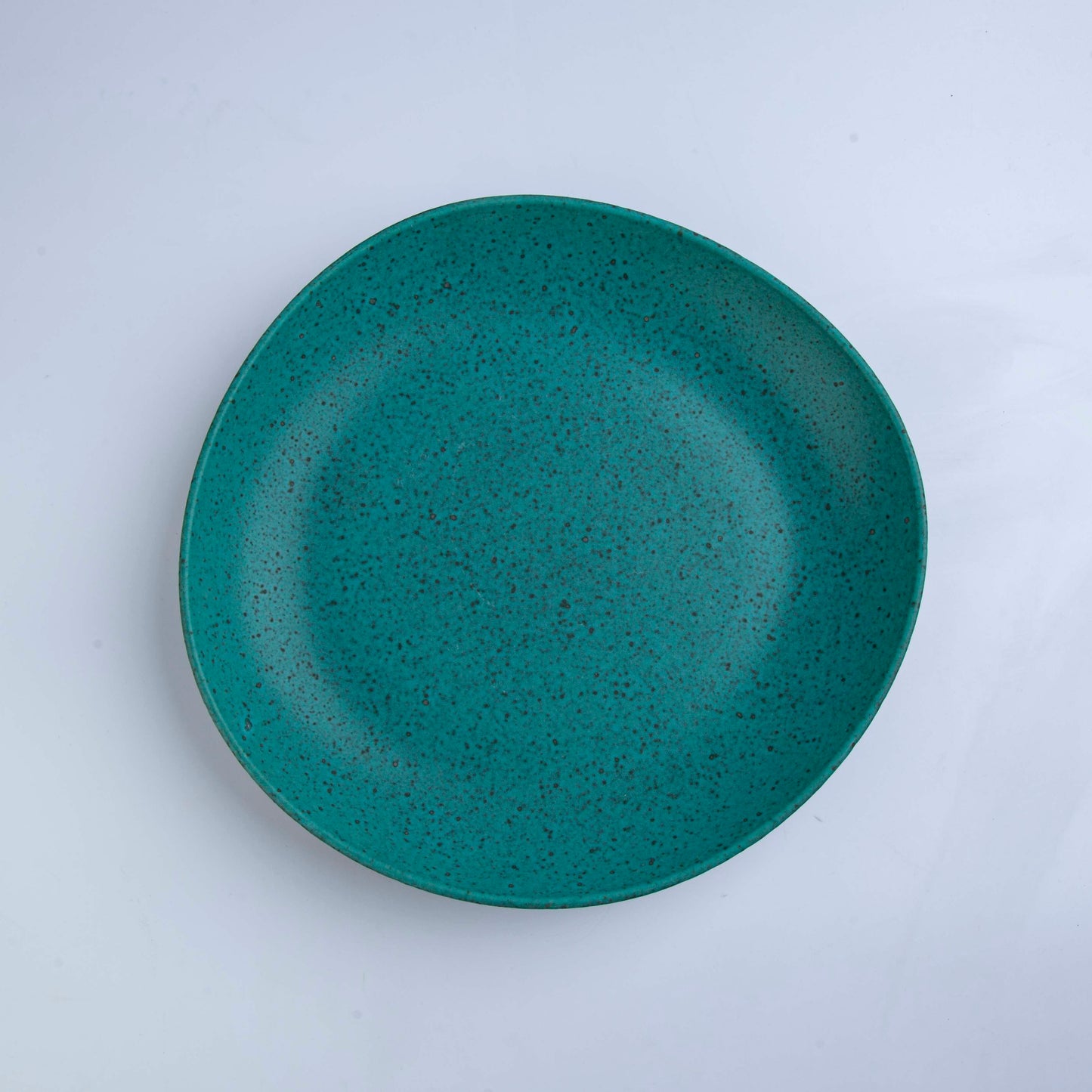 Vista Alegre- Pasta Plate- Sauvage- D 28cm