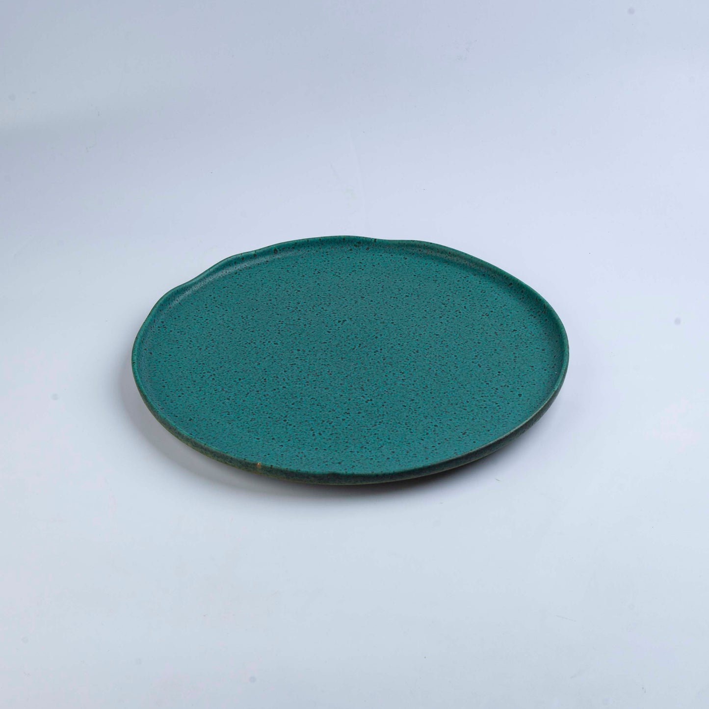Vista Alegre - Charger Plate- Sauvage- D 32cm