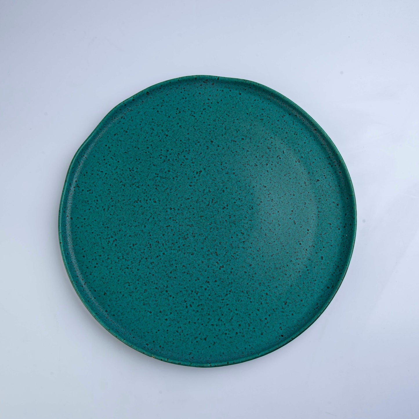Vista Alegre - Charger Plate- Sauvage- D 32cm