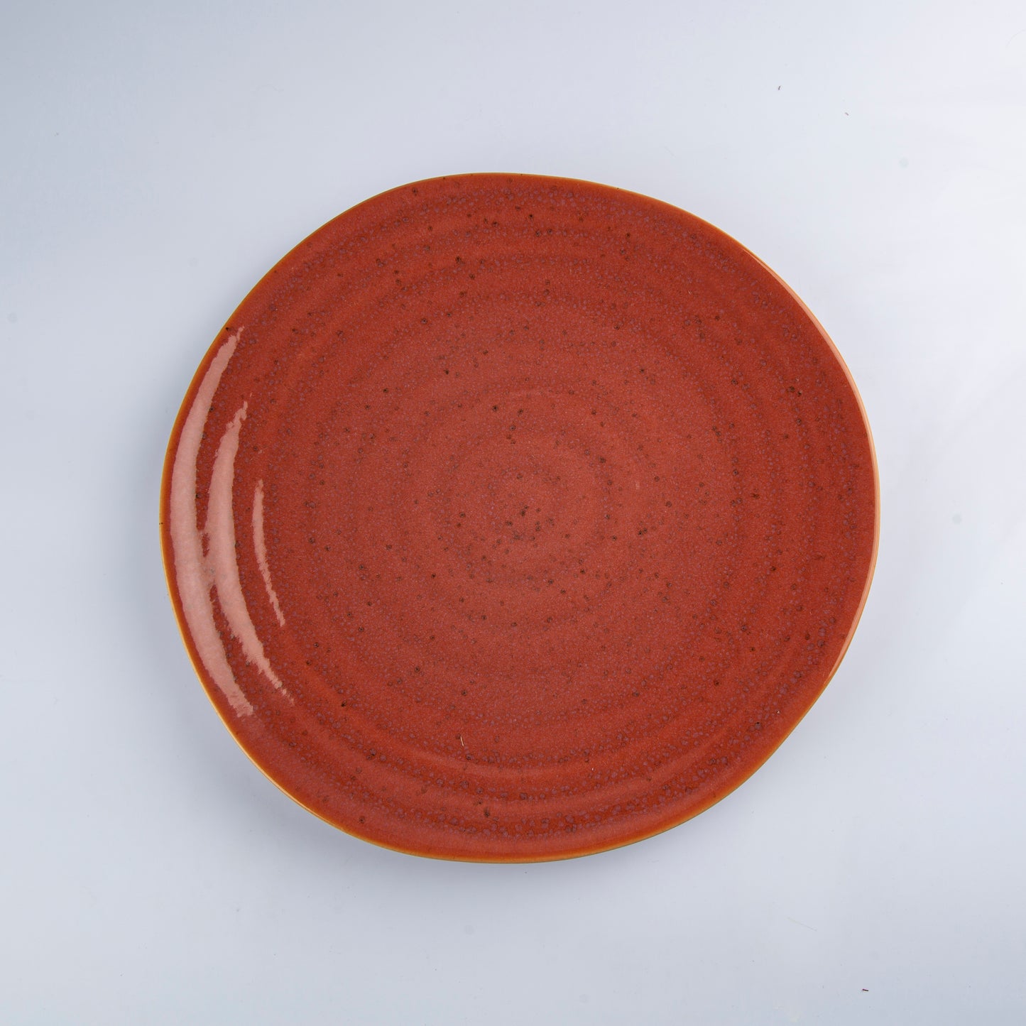 Dinner Plate - Coral Plate - 28 cm